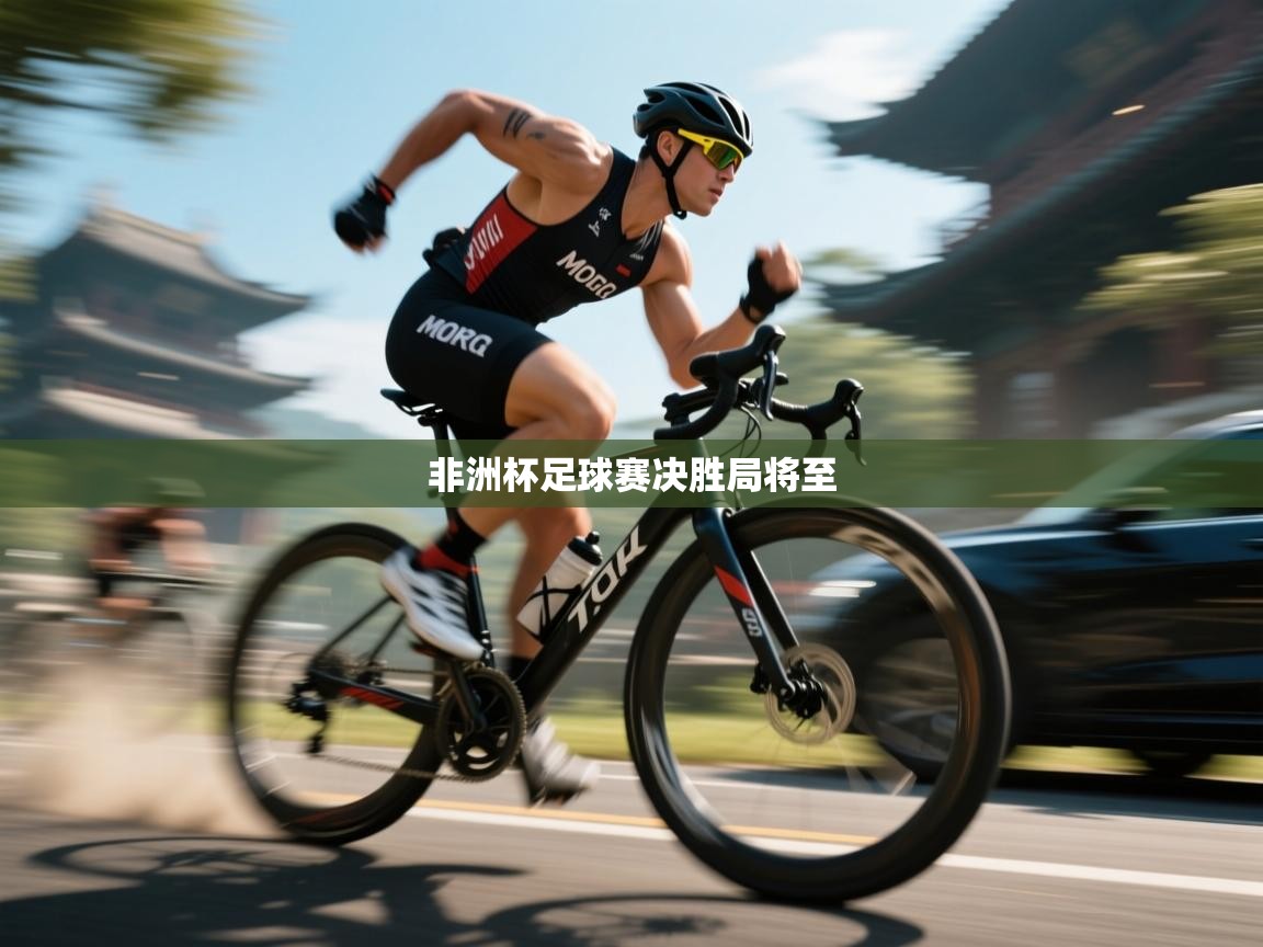 非洲杯足球赛决胜局将至 第1张