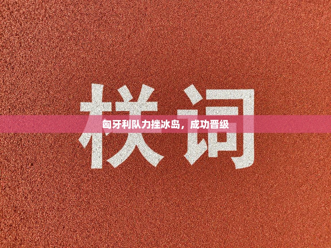 匈牙利队力挫冰岛，成功晋级  第1张