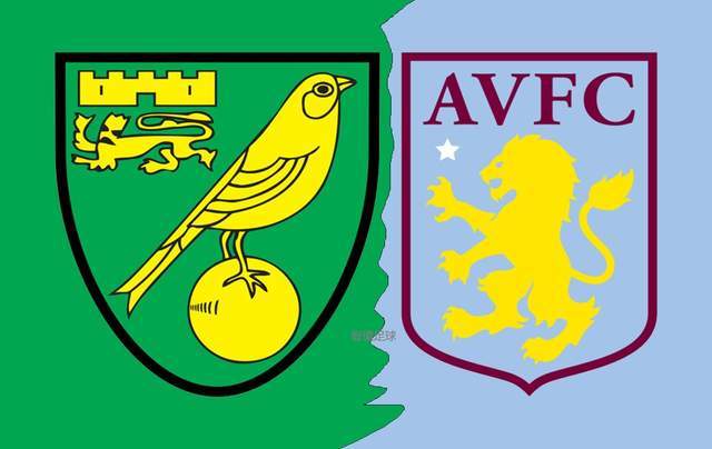 爱游戏亚洲官网-诺维奇联客场抢分成功，保级前景良好